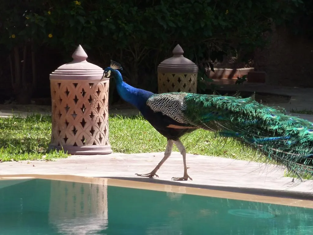 La Villa Kacy Marrakesh