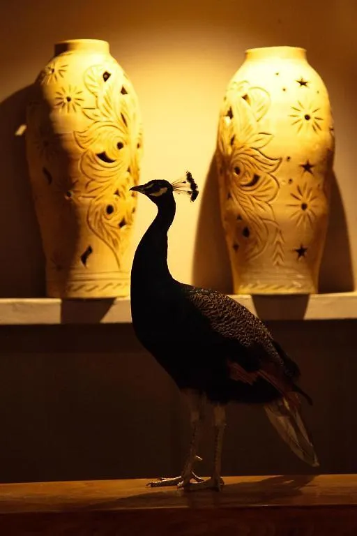 La Villa Kacy Marrakesh Bed & Breakfast